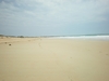 IMGP0523.JPG