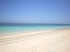 IMGP0782.JPG