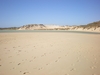 IMGP0833.JPG
