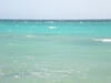 IMGP0839.JPG