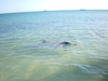 IMGP0879.JPG