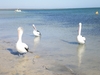 IMGP0889.JPG