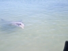IMGP0898.JPG