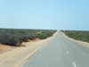 IMGP0934.JPG