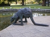IMGP1052.JPG